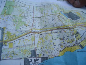 DSC00919 (26)    